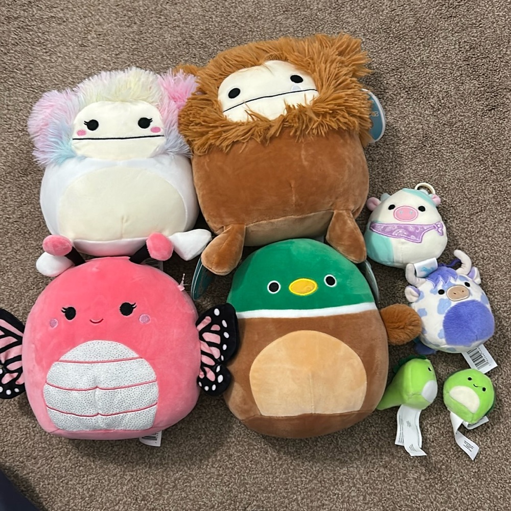 Squishmallow Lot